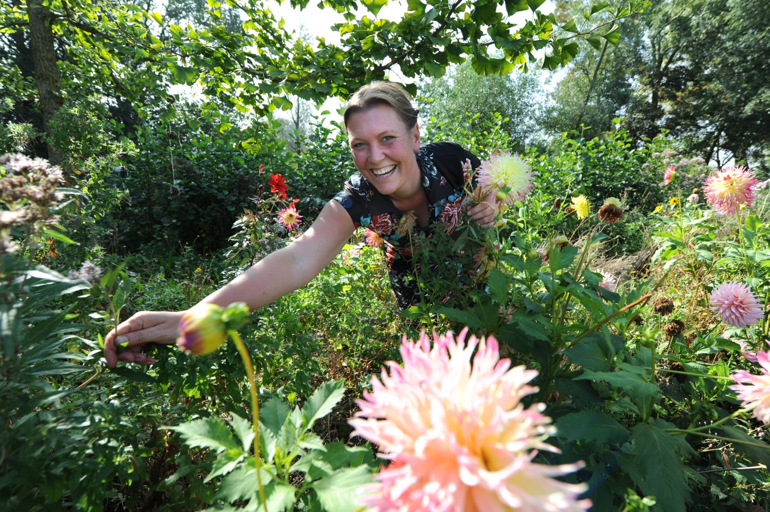 Roos was jurist maar is nu fulltime tuinierster