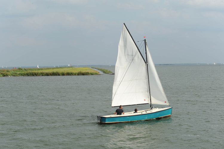 Ontwikkeling natuur rond IJmeer afgerond