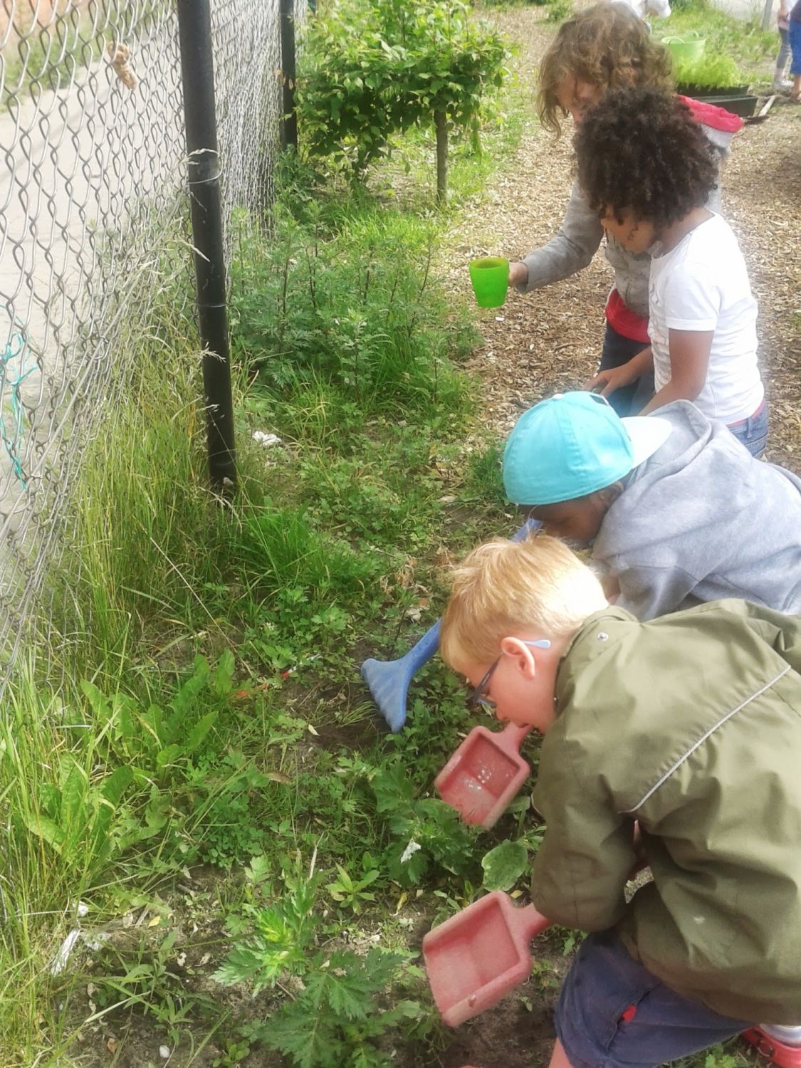 Meedoen met ontwerpsessie voor het ideale Groene Schoolplein
