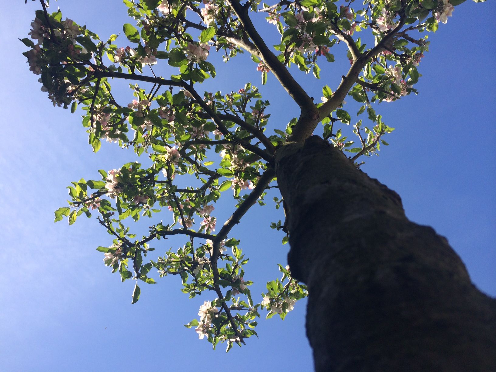 Mindfulnesstraining in Oost vanaf 25 februari