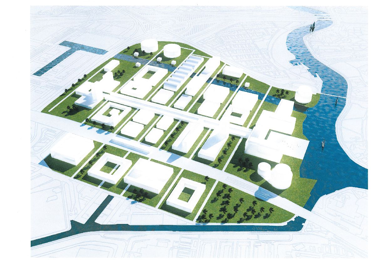 ‘De koning hoeft niet mee’