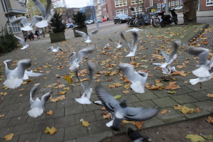 Inkomsten uit werk volgend jaar automatisch verrekend met bijstandsuitkering