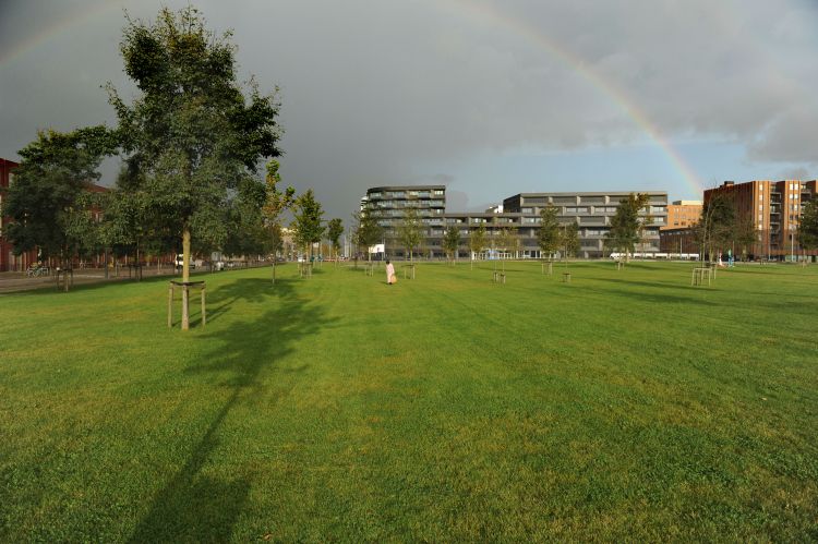 Recordaantal zonnepanelen op het IJburg College