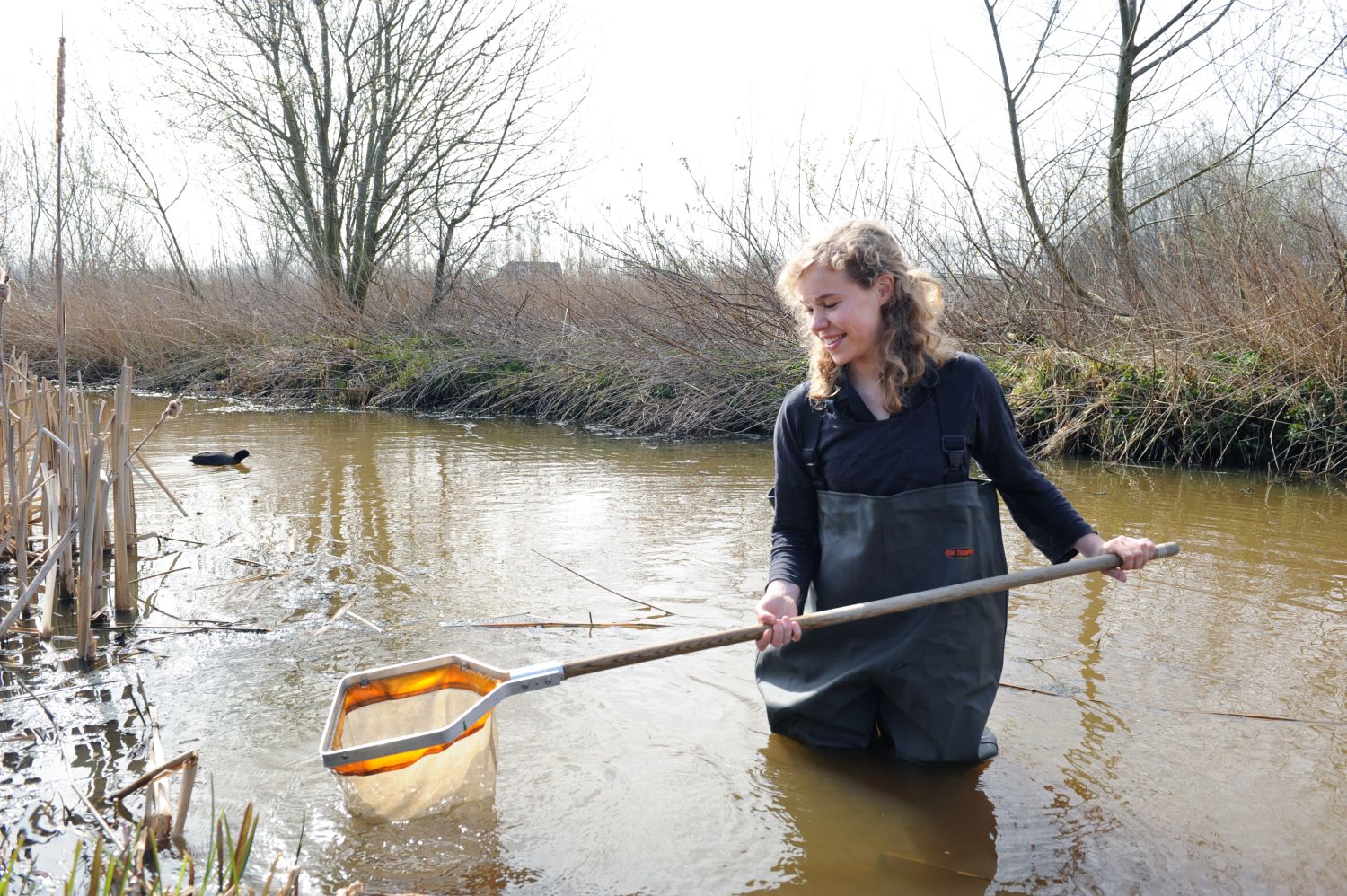 Anna’s Ruigte – nieuwe stadsnatuur op Science Park