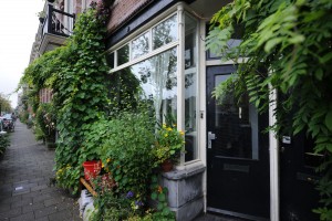 De tuin met veel groen, kruiden en natuurlijk de volière. “De buren zeggen: wat zal het stil worden als jullie weggaan.”