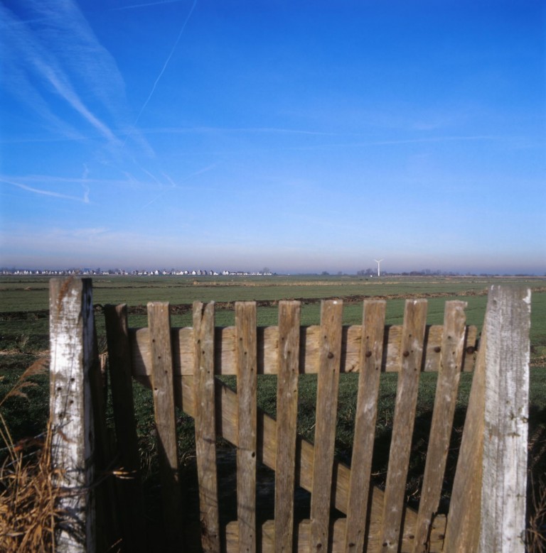 Kijk met een boswachter mee naar vogels in Durgerdam