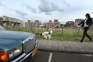 Kavel 13A aan de Daguerrestraat op IJburg, waar vanaf juli 2017 driehonderdtwintig containerwoningen staan.