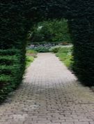 Vrienden van het Park van Darwin