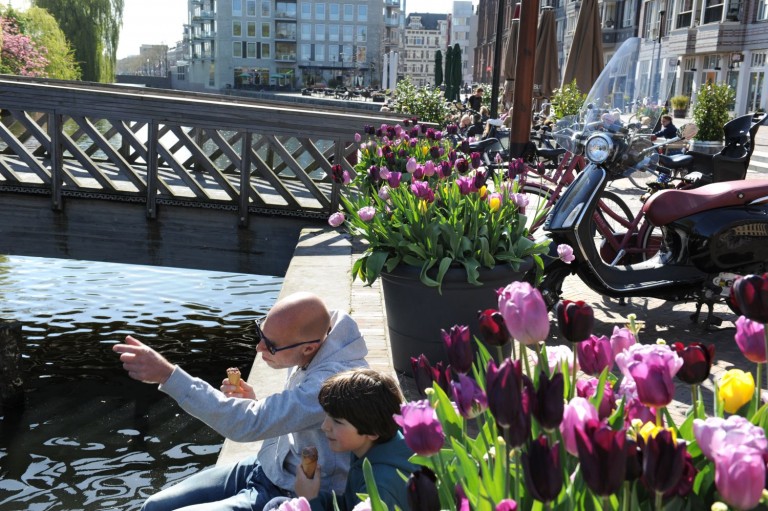 Tulp Festival zet Amsterdam-Oost in bloei
