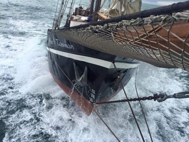 Fokdag wordt Fokdag Alternative