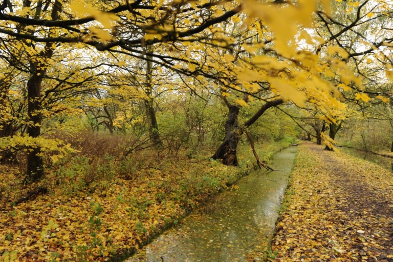 Twee genomineerde Amsterdammers van het Jaar 2016 uit Oost