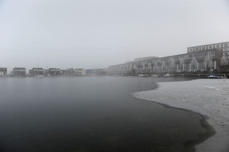 ‘Raam na raam zien we ’s ochtends mensen naar hun laptop kijken’ ****