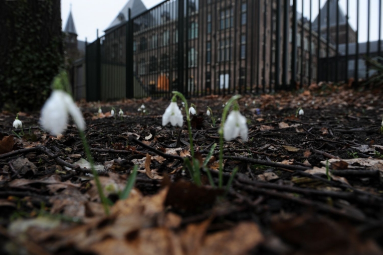 Oosterpark wordt twee keer zo groot