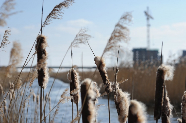 Stadsdebat over de Sluisbuurt