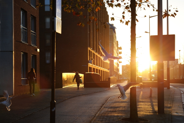 Vlooienmarkt in de Jaap Edenhal