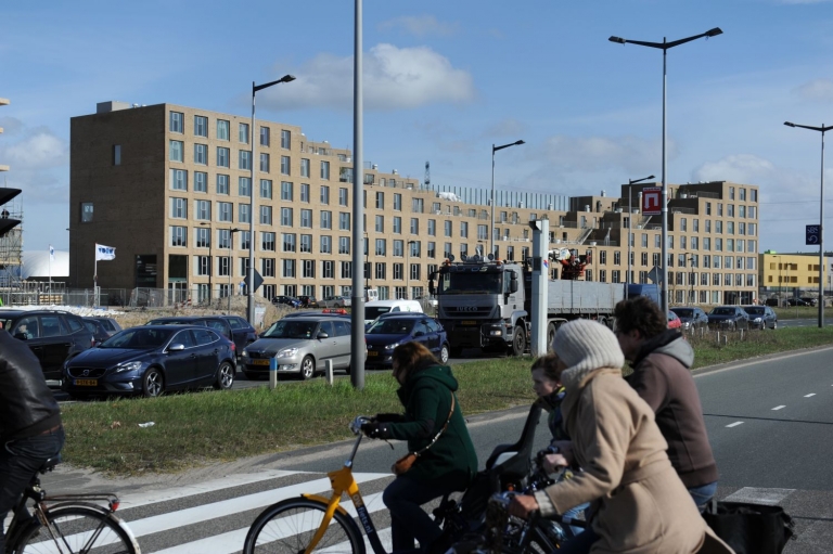 ‘Dit is er een met rotte tanden helaas’