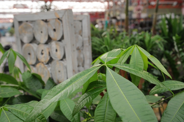 Dag van de Duurzaamheid bij Intratuin