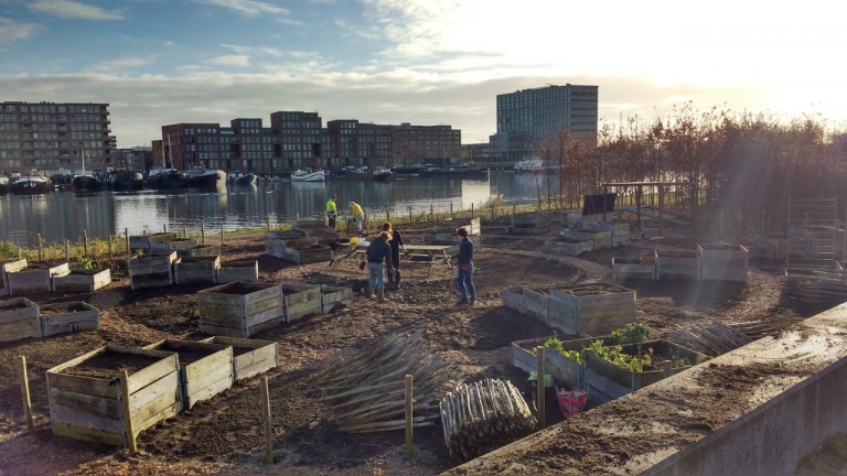 Pluktuin Proefeiland houdt een open dag