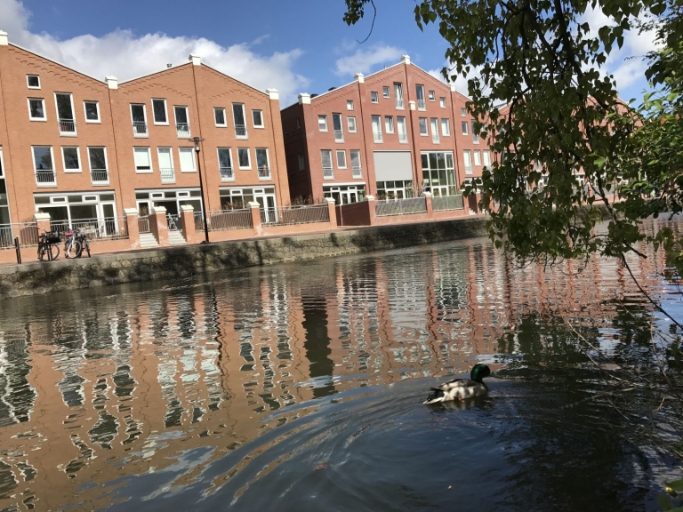 Petitie tegen inkorten lijn 41