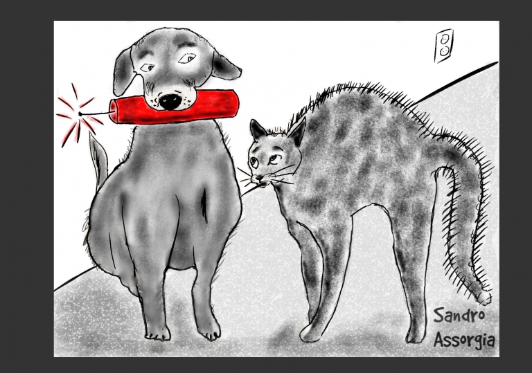 7 Tips: vuurwerk en huisdieren