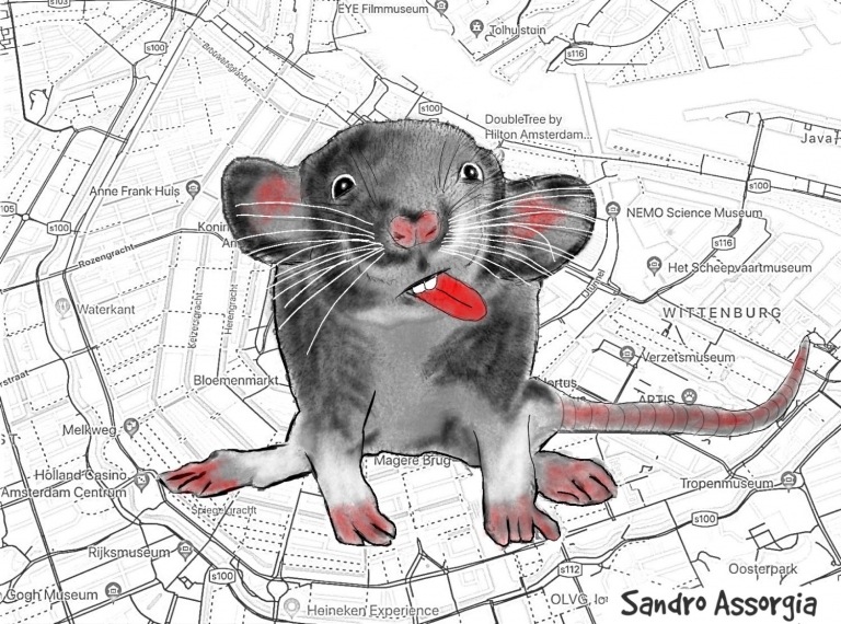 Vogels voeren mag niet meer overal