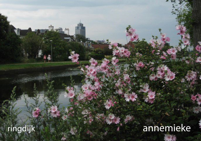 Foto-expositie in het Flevohuis: Kijk je rijk in je wijk