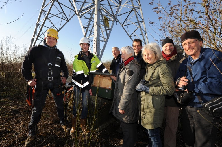 Nestkast voor torenvalk in Diemerpark