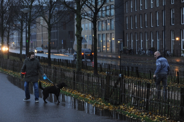Ambtenaren Stadsdeel Oost lappen regels aan hun laars