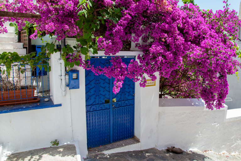 ‘Leuke dingen bedenken en creatief zijn, het komt allemaal samen’