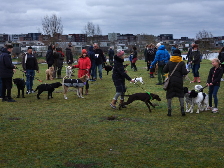 Hondenbezitters pleiten voor meer ruimte in Diemerpark. ‘Ik hoop dat de hond op dit plateau zonder restricties los mag’