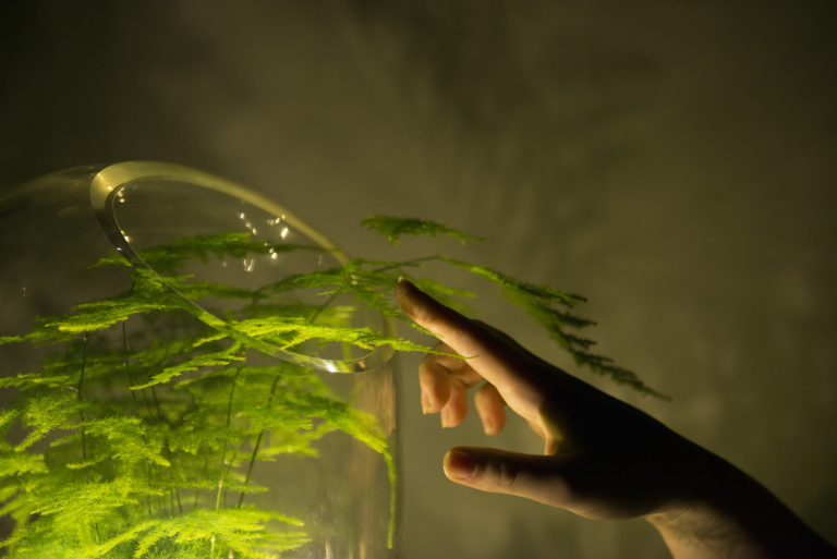 Ontwerpers laten zich inspireren door natuurkrachten