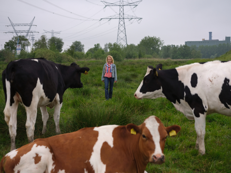 ‘Het functioneren van de stadsdeelcommissies is een probleem’