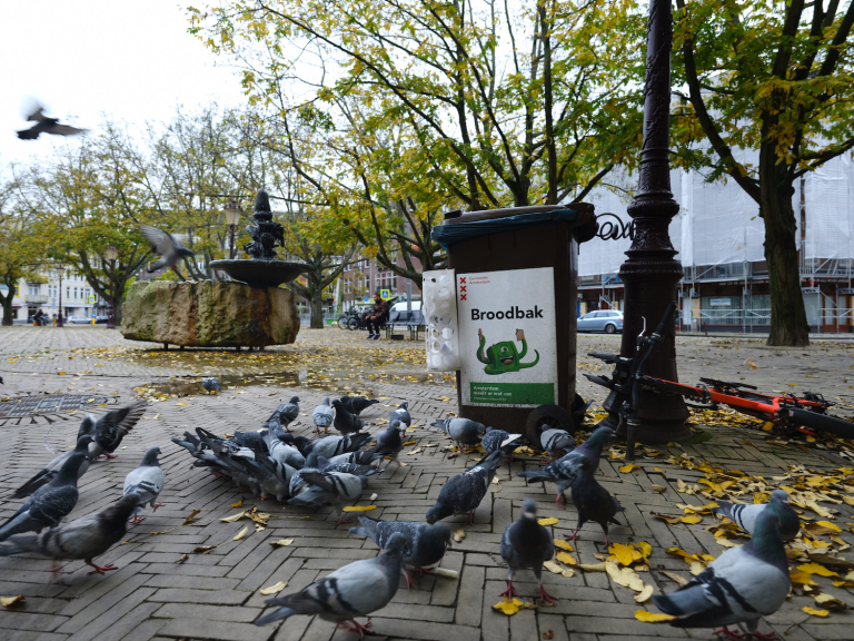 Proef met broodkliko’s lijkt geslaagd: Veel minder ratten