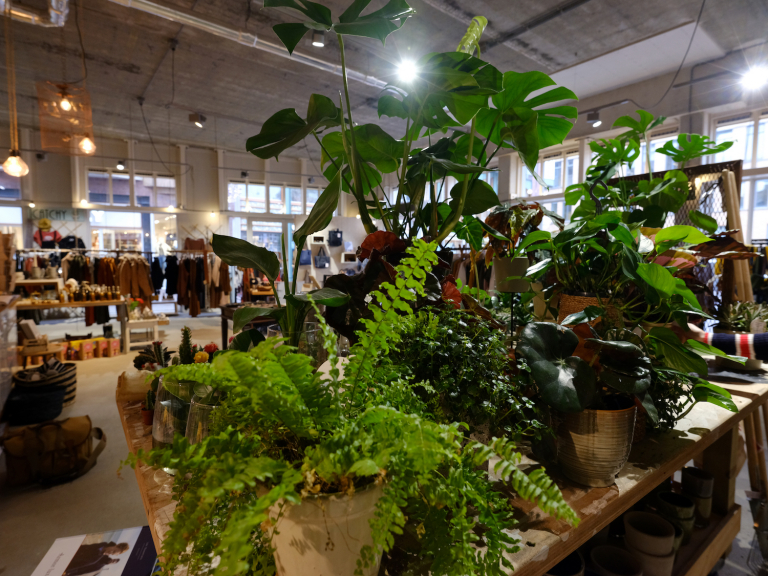 Cadeauroute voor Sinterklaas en Kerst