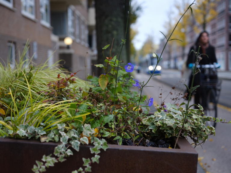 Tour de Czaar op 21 september, met interactieve wandelroute