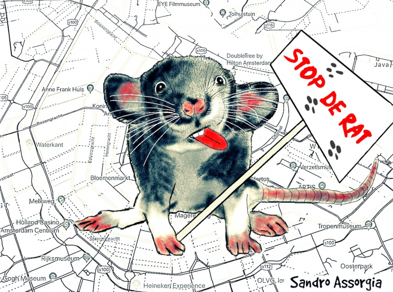 Eendjes voeren: liever niet. Voorlichting moet rattenplaag in Oost voorkomen