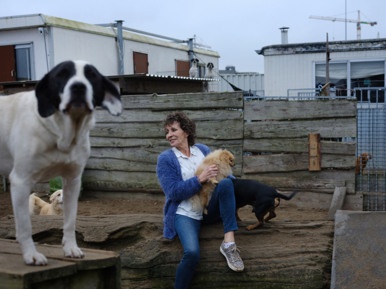 Op Zeeburgereiland: ‘Honden moeten lekker met elkaar kunnen kloten’