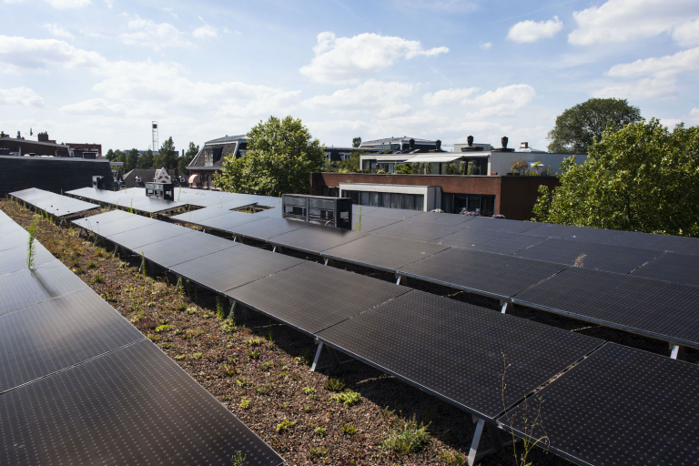 Zonnepanelen en tegelijk een sedumdak:  Duurzaam, verkoelend en geluiddempend