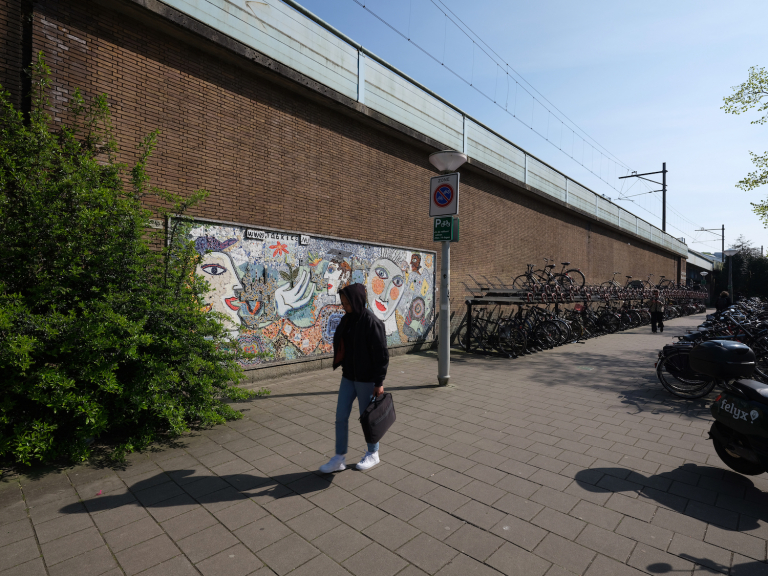 Kunstenaar Fabrice geeft kleur aan donkere tijden: ‘Een pleidooi voor vrijheid en duurzaamheid’