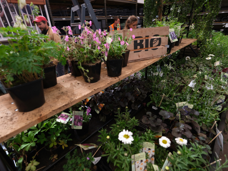 ‘Bloeiende rozen zijn een genot voor mens en dier’