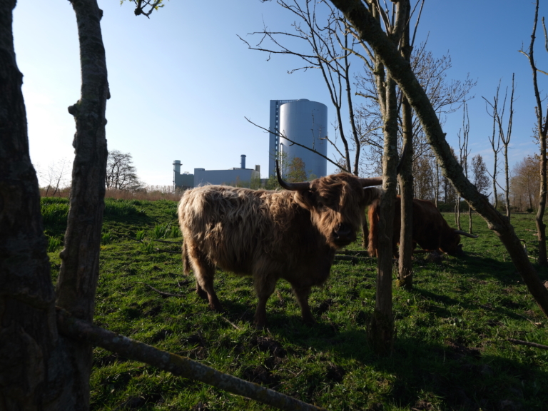 Steeds meer weerzin tegen biomassacentrale Diemen, Comité Schone Lucht vecht door. ‘Vattenfall goochelt met de cijfers’