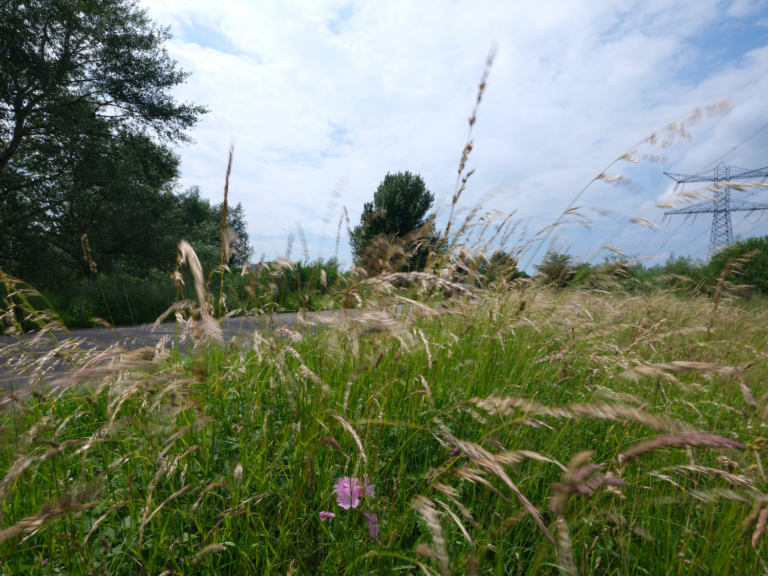 Schade bij werkzaamheden in het Diemerpark