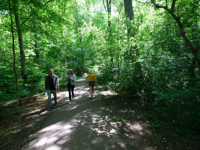 Amsterdam heeft plannen voor een stadsbos. ‘De meeste ruimte ligt ten noorden van Amsterdam’