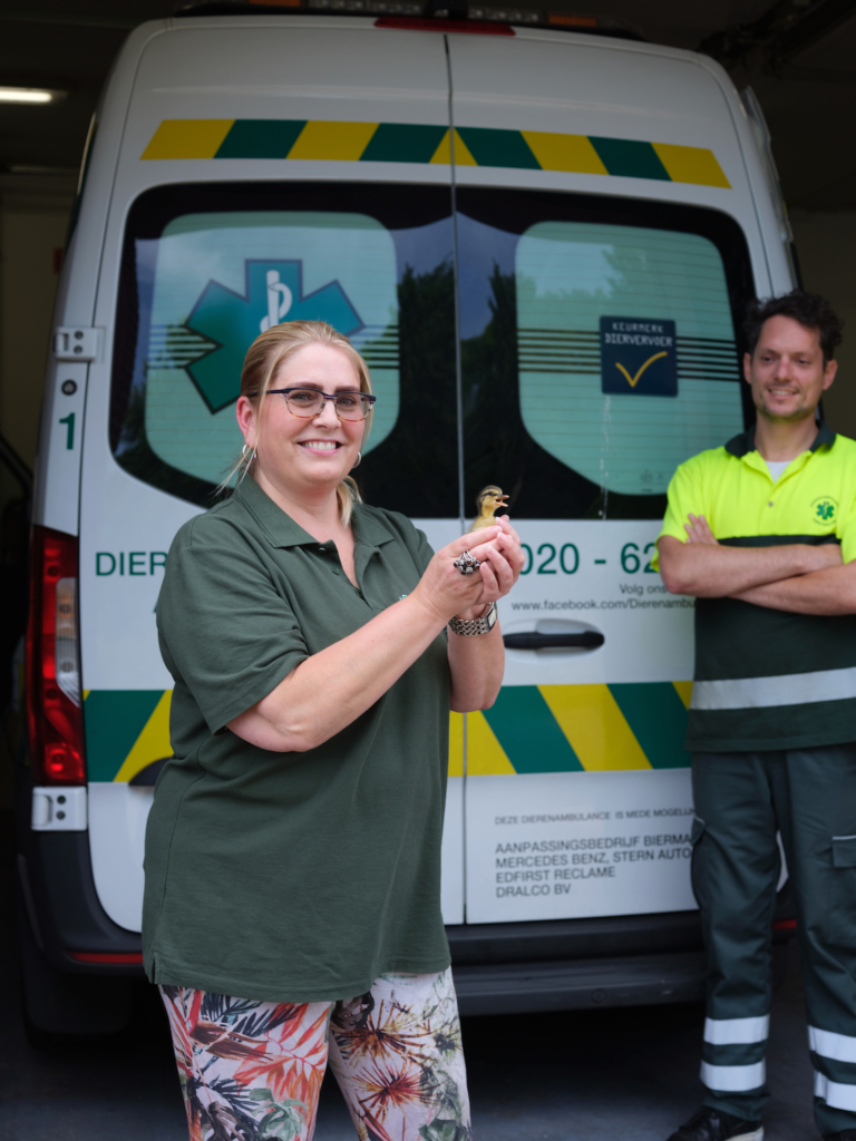 Vrijwilliger bij de Dierenambulance: ‘Lang niet ieder telefoontje wordt een rit’