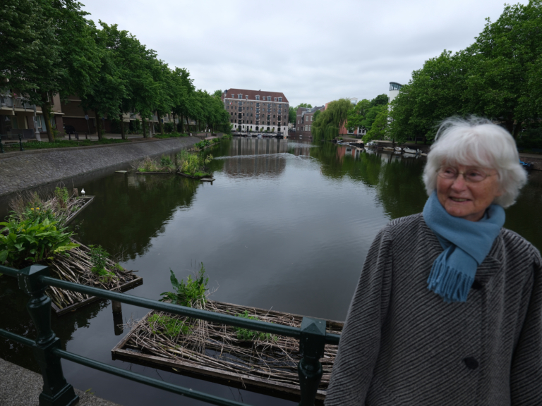 Tuineilandjes voor watervogels op Kattenburg en Wittenburg