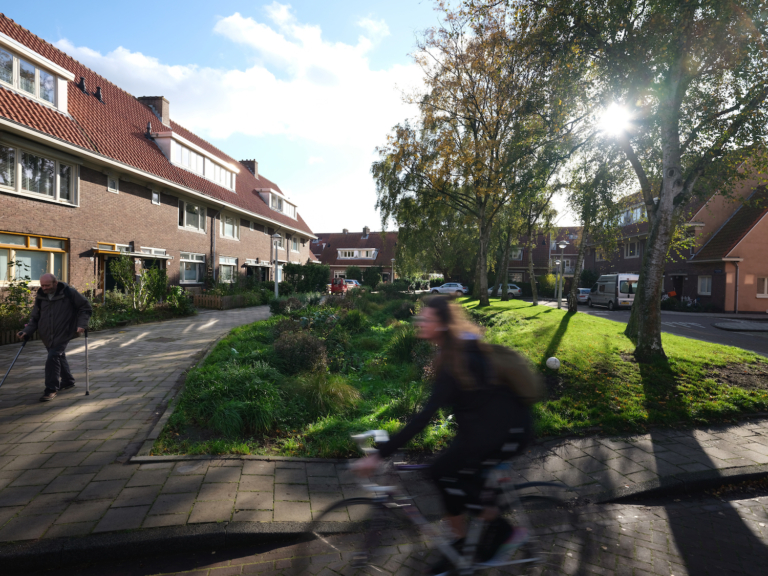 Wadi Betondorp is groene oase én vangt regenwater uitstekend op