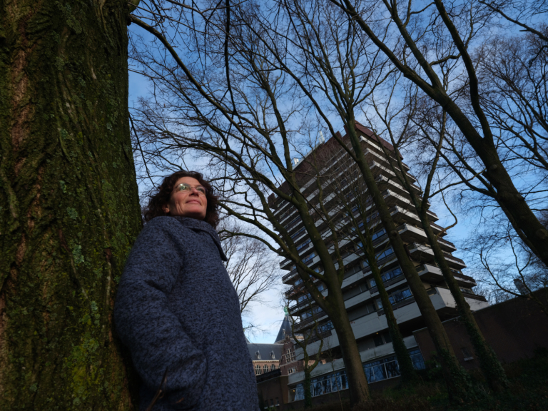 Gemeente Amsterdam zet in op natuurlijke vijanden: vogels en vleermuizen gaan eikenprocessierups te lijf