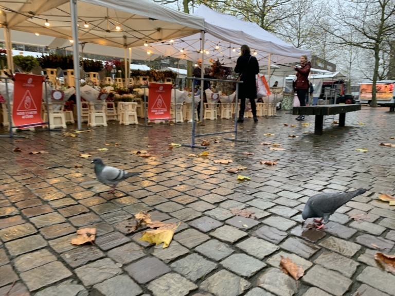 Markt op IJburg toch niet verkleind tot 30 plekken