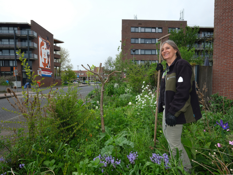 Oase voor vlinders en vogels: Els de Vos beheert zelf een gemeenteplantsoen