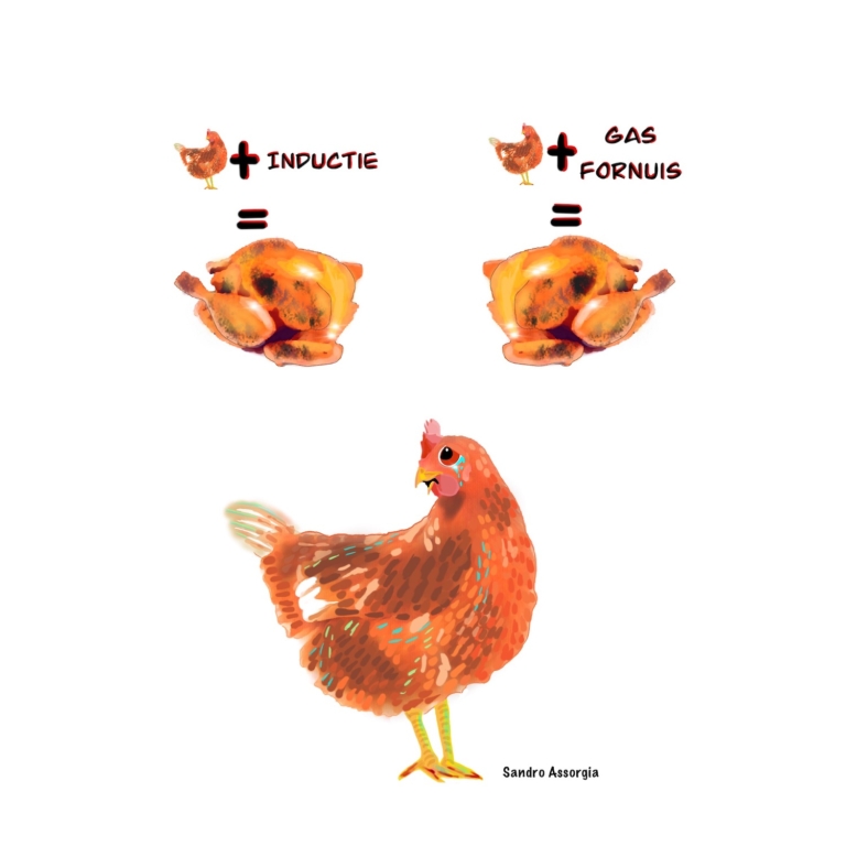 Duurzaamheid voor dummies: Wat is beter voor het milieu: elektrisch koken of op gas?